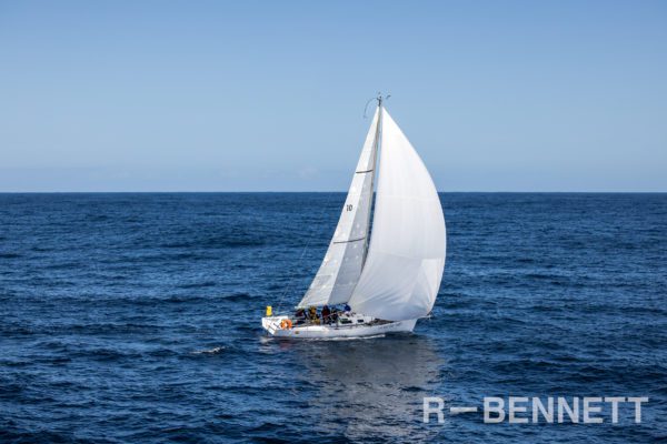 Storm Bay Sails 6859 LH22