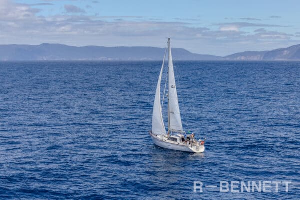 Hansen Tasmania 8428 SH23