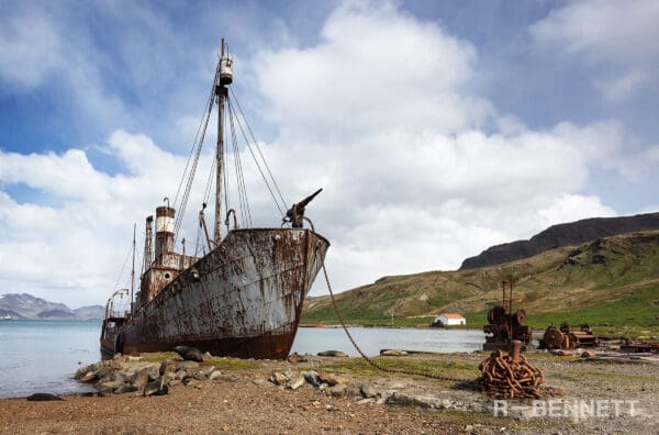 Grytviken, South Georgia 2022