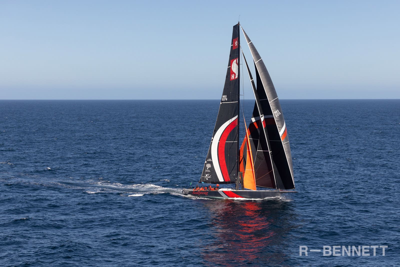 SHK Scallywag 0135 SH25