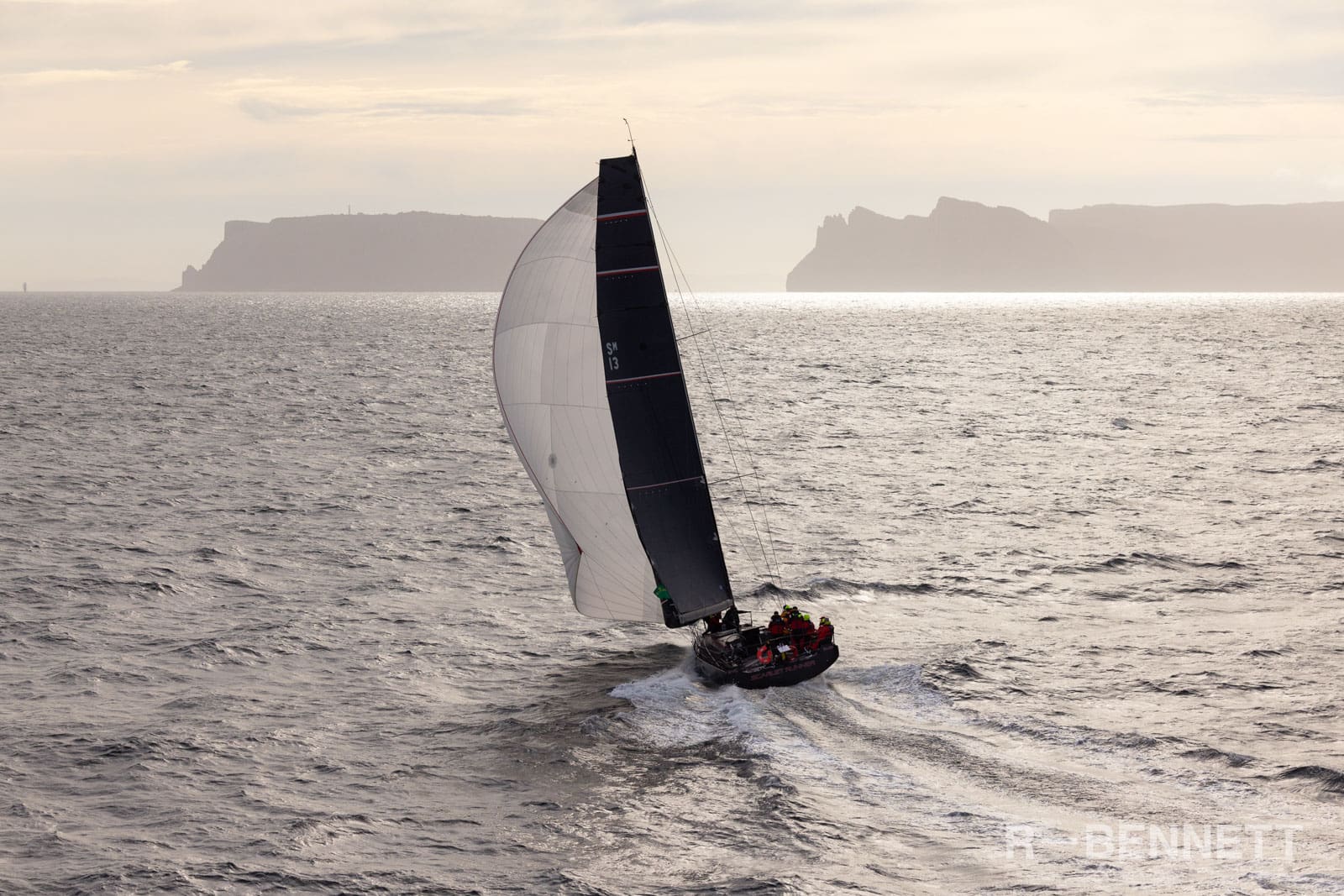 Scarlet Runner 0330 SH25