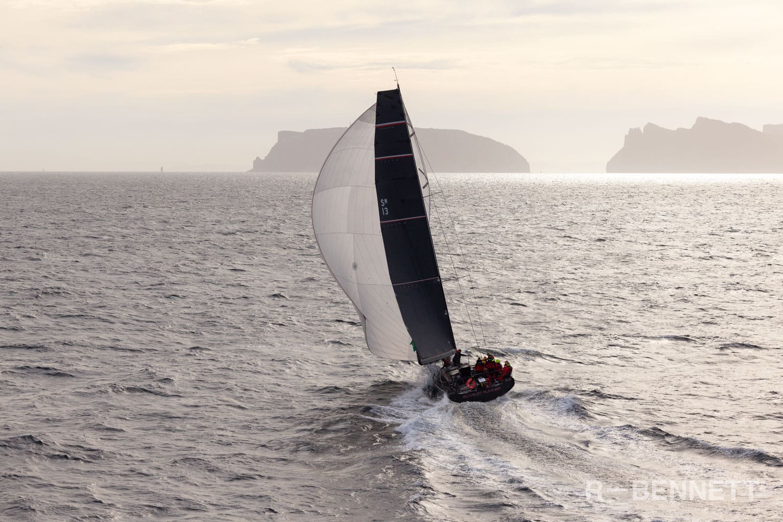 Scarlet Runner 0331 SH25