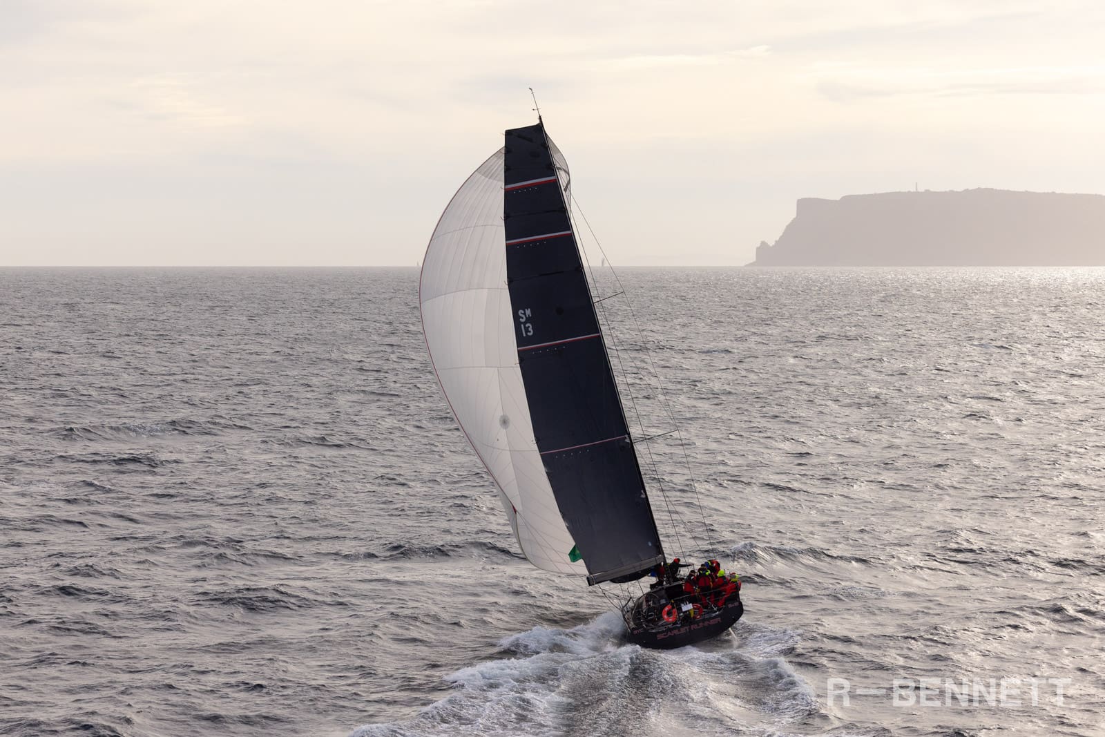 Scarlet Runner 0332 SH25