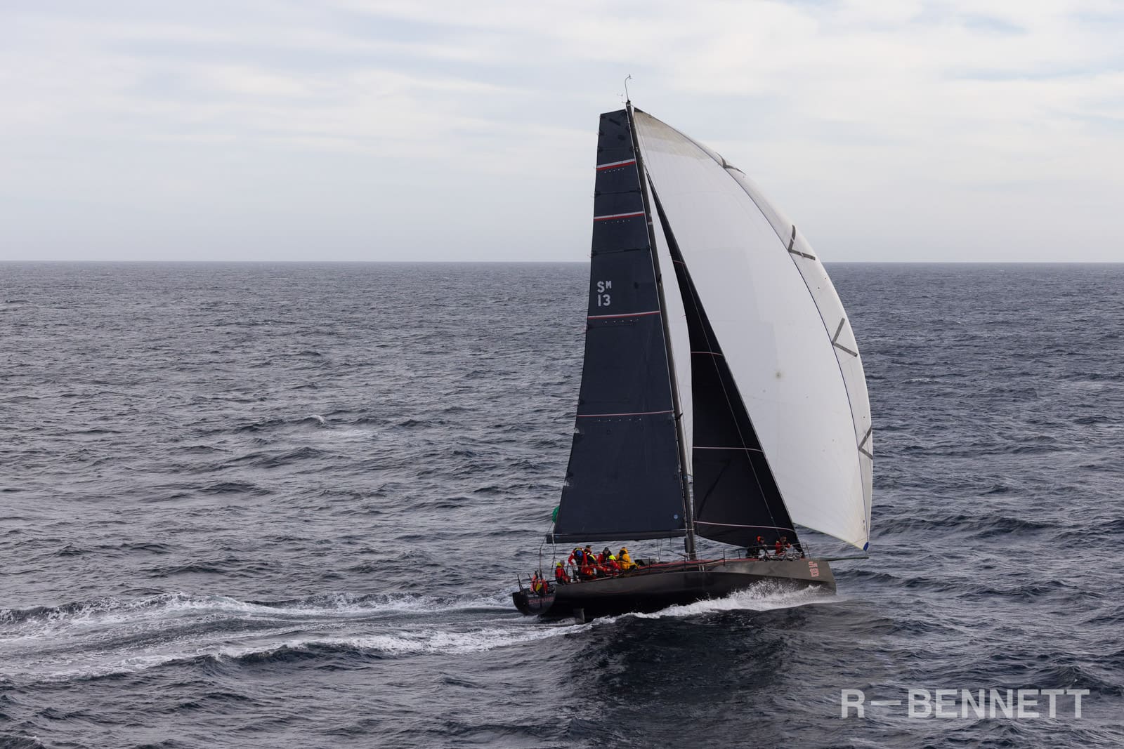 Scarlet Runner 0333 SH25