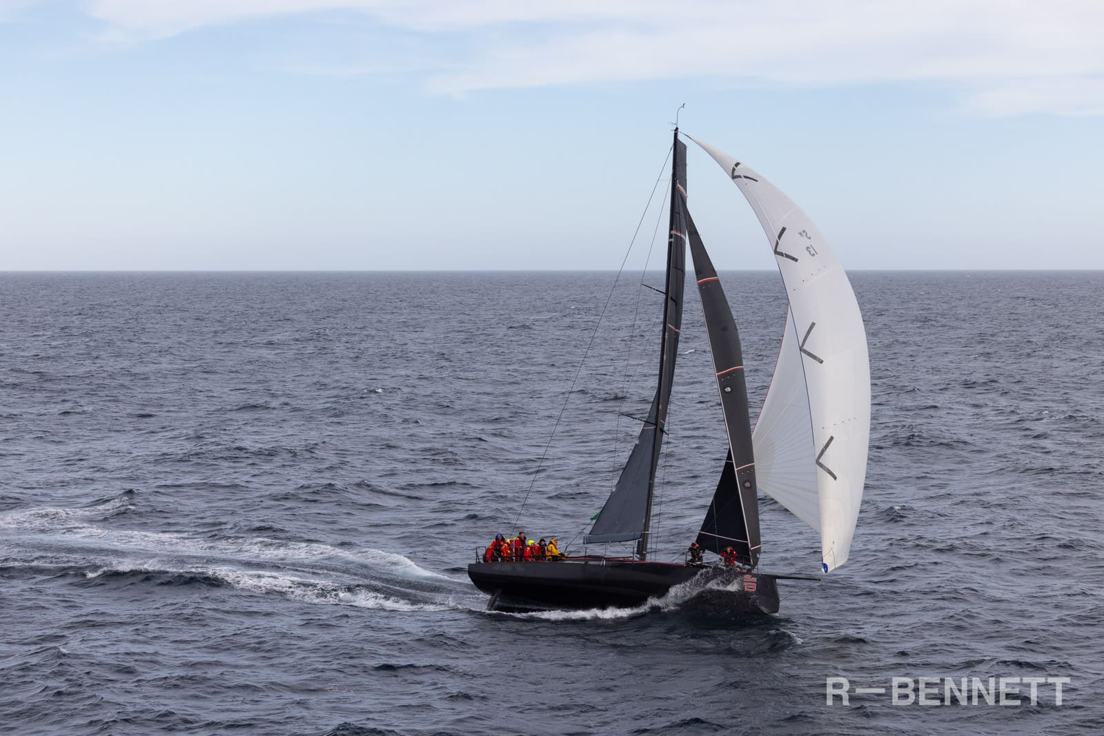 Scarlet Runner 0334 SH25