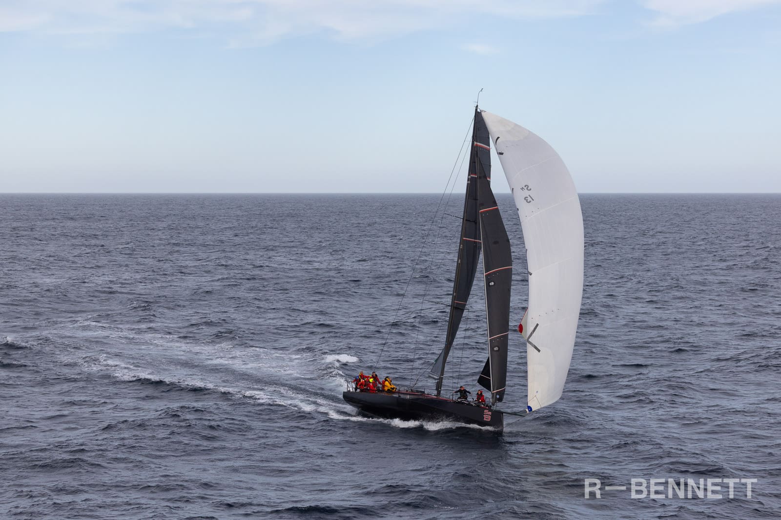 Scarlet Runner 0335 SH25