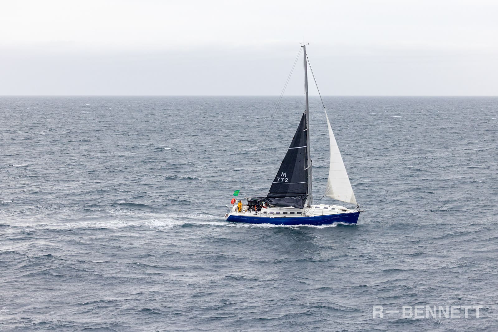 Marguerite 0983 SH25