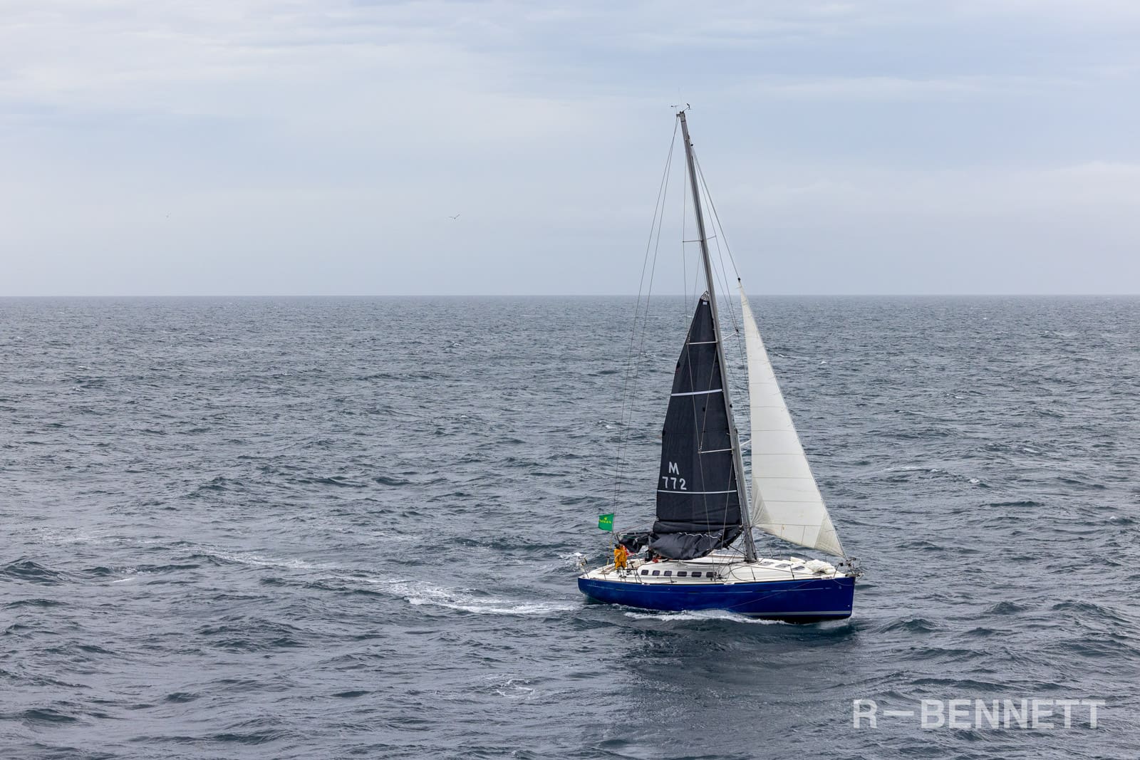 Marguerite 0984 SH25