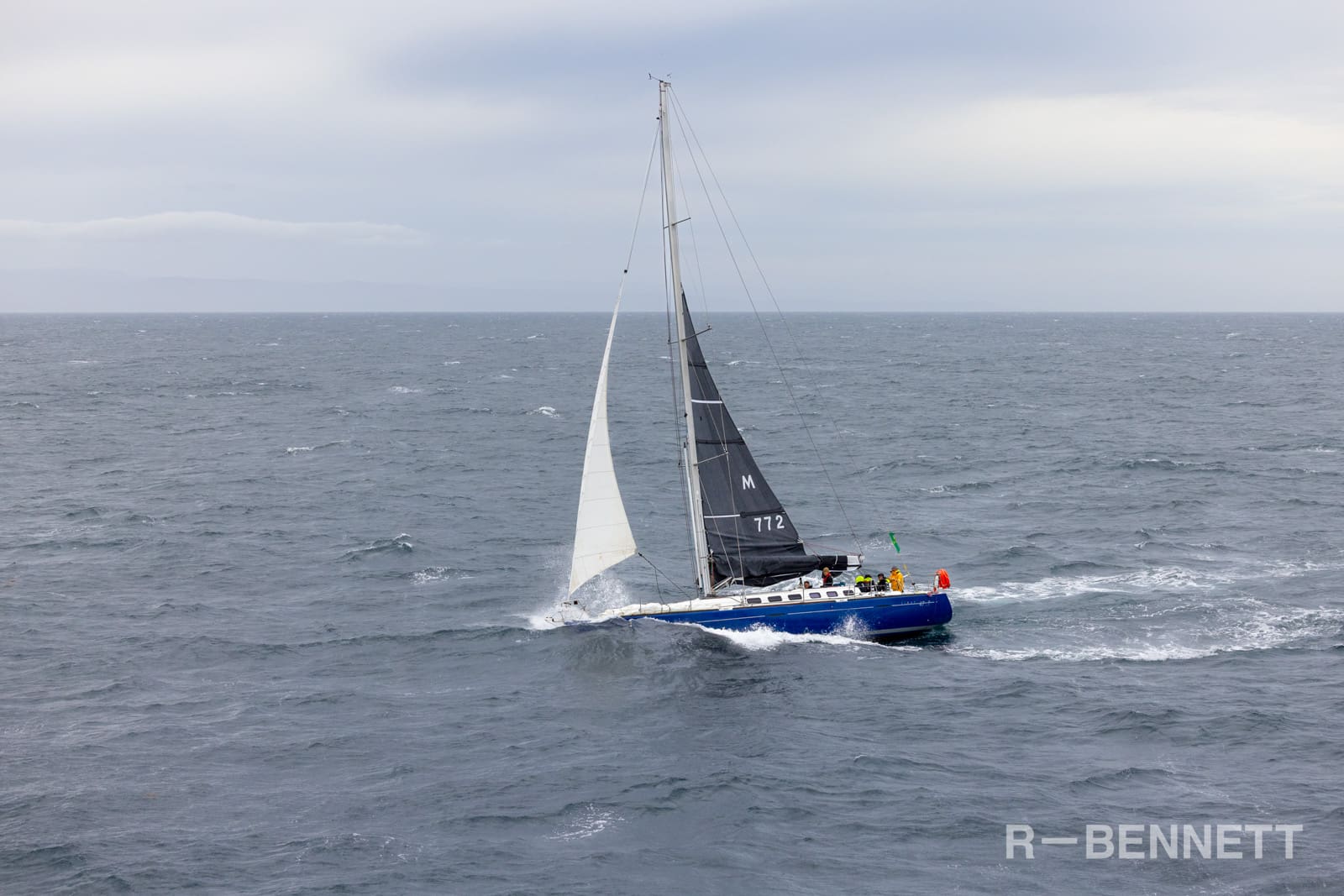 Marguerite 0987 SH25