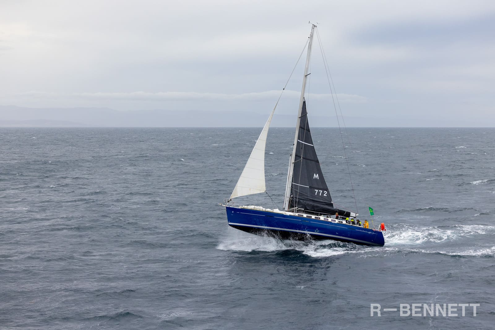 Marguerite 0988 SH25