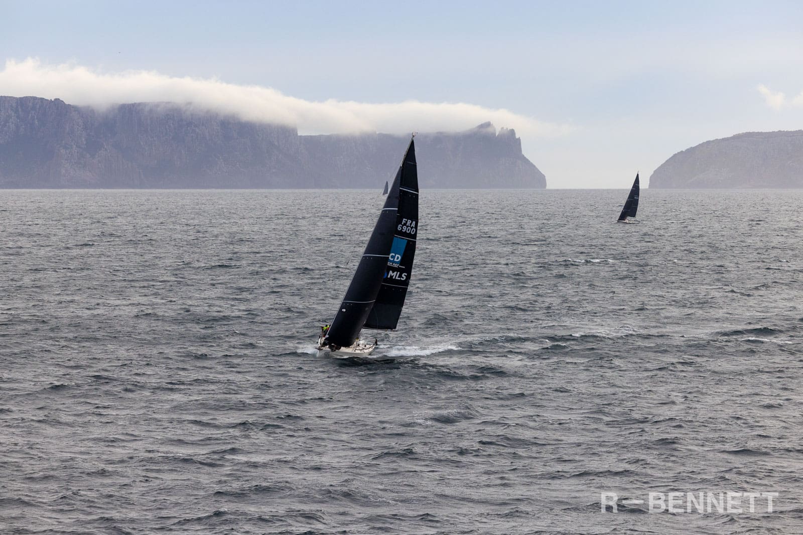 Poulpito MLS 0525 SH25