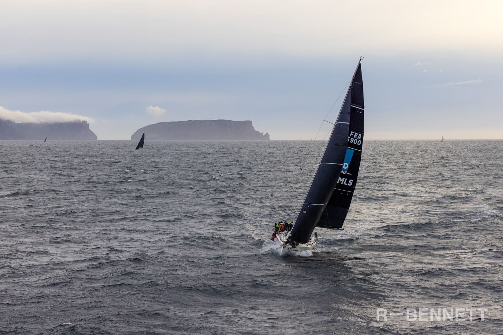 Poulpito MLS 0532 SH25