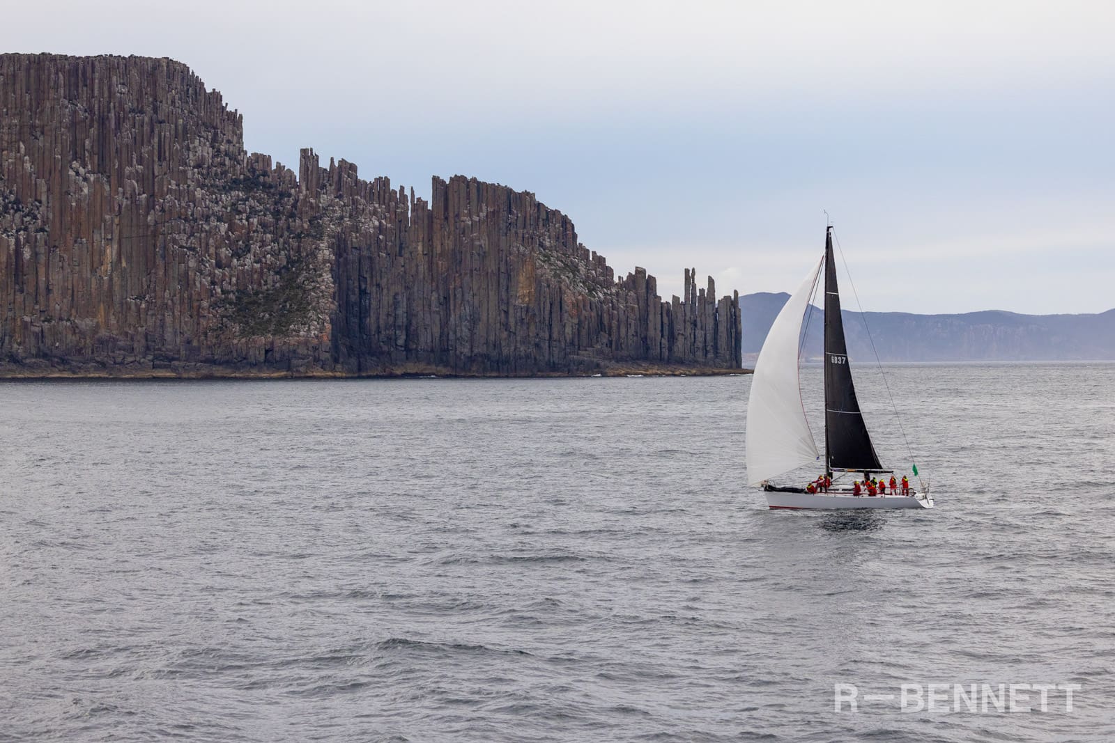 Shes the Culprit 0494 SH25