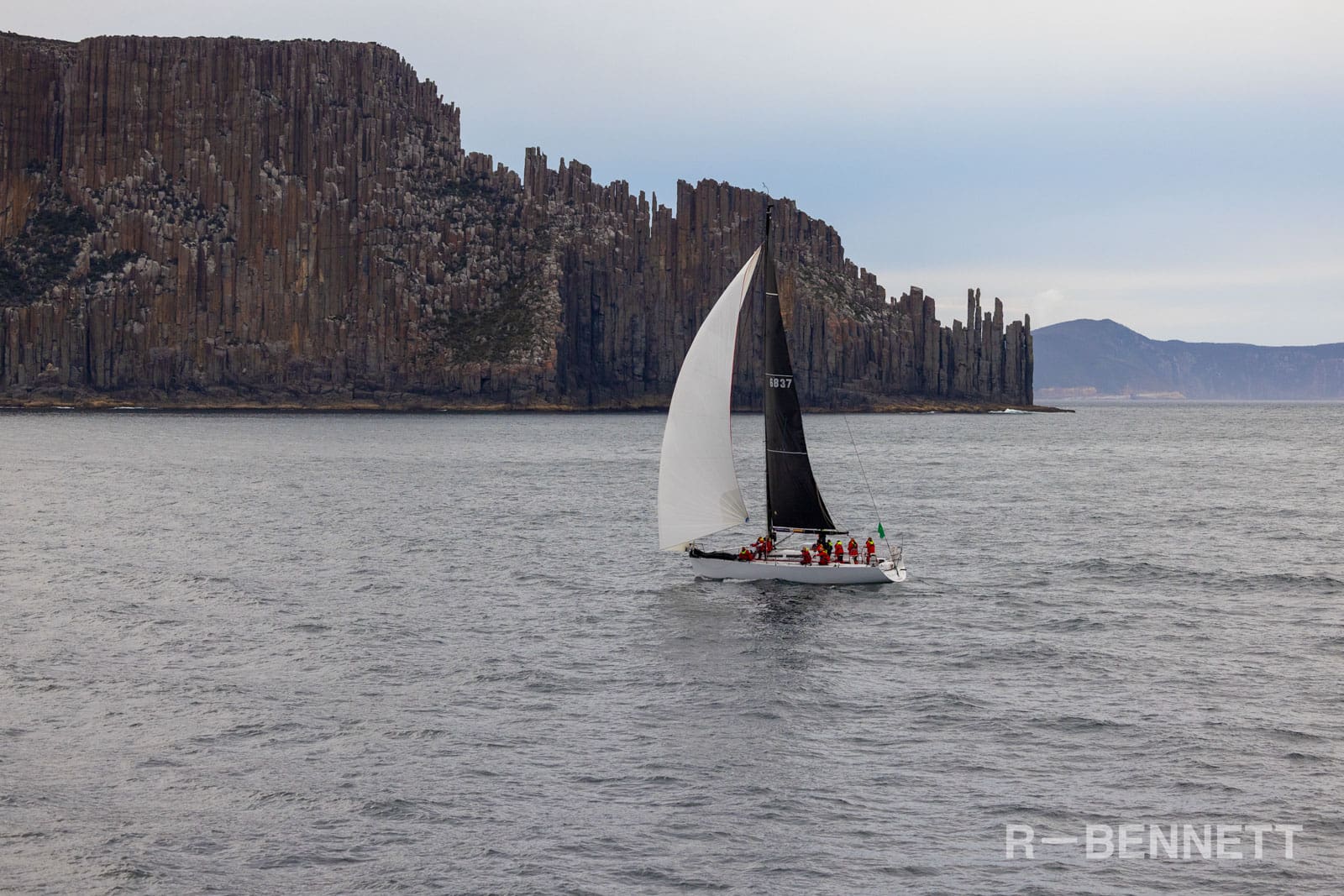 Shes the Culprit 0495 SH25