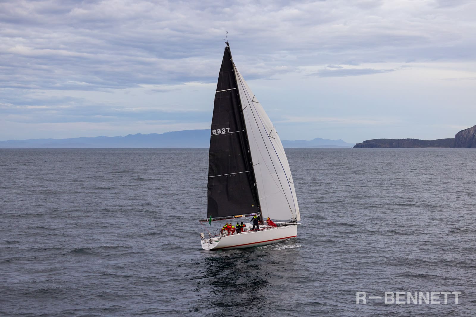 Shes the Culprit 0496 SH25